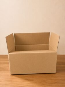 medium carton box (2)
