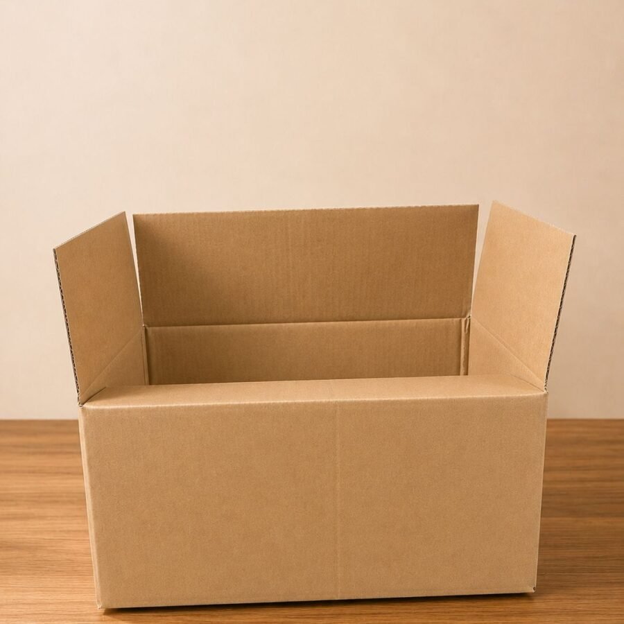 medium carton box (2)